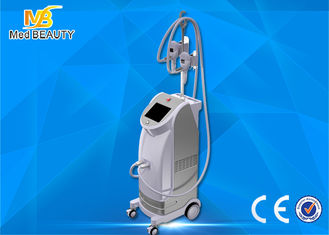 Chiny Best seller vertical fat freezing cryolipolisis coolsculpting cryolipolysis machine dostawca