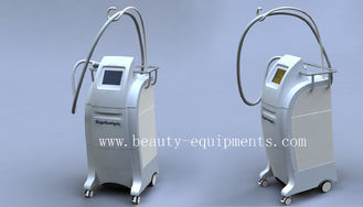 Chiny 2012 Popular Freezing Fat Slimming Equipment dostawca